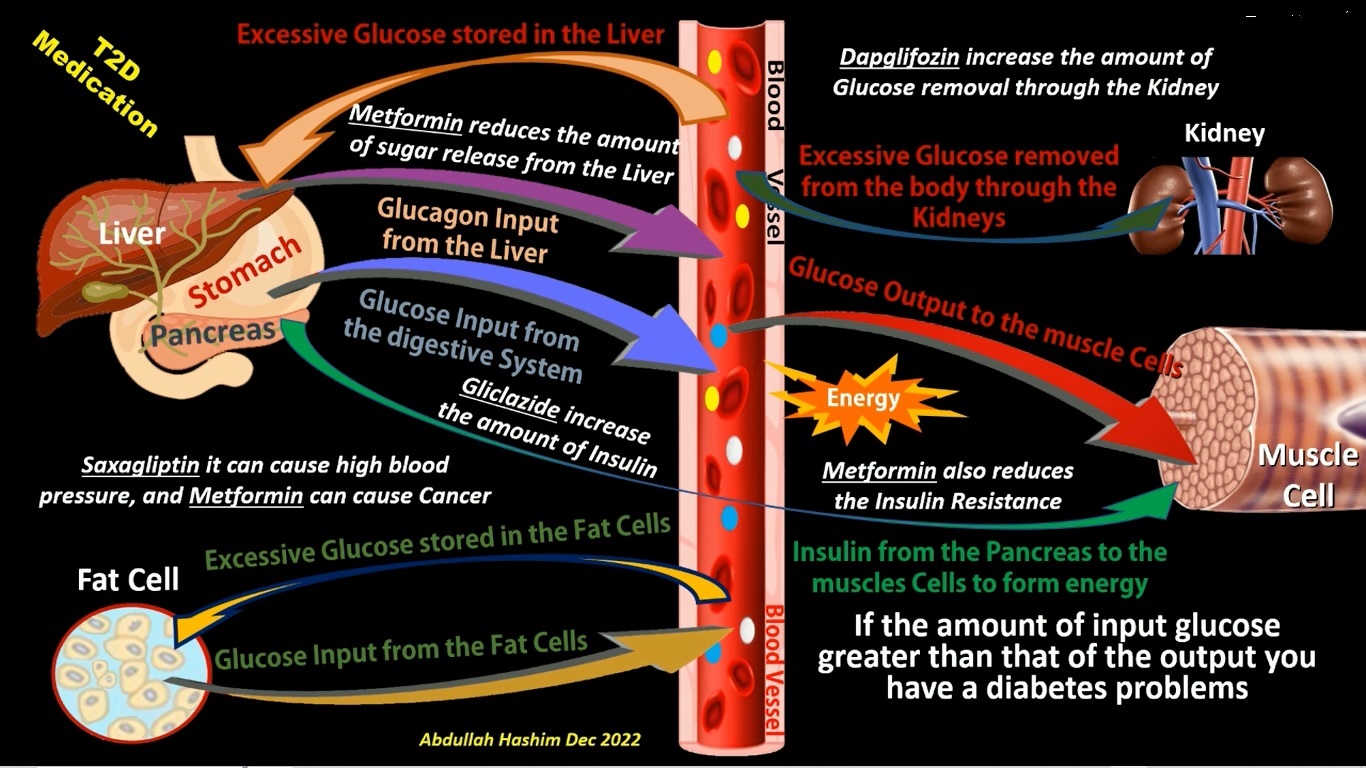  Diabetes Medication